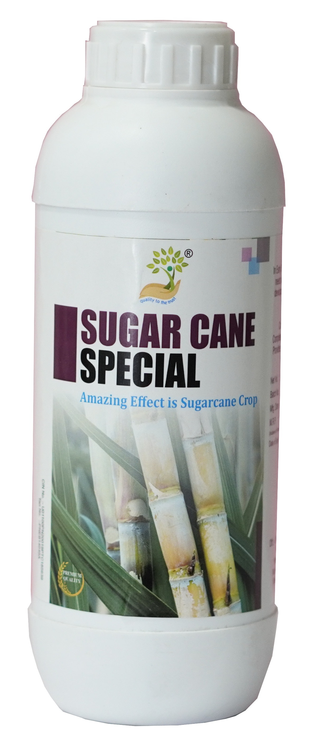 Sugarcane Special 
